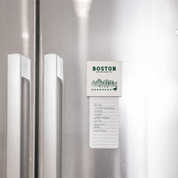 Boston Skyline Ducklings Magnet