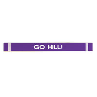 Collegiate Stripe Personalized Skinny Sign