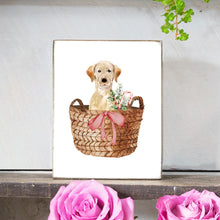 Load image into Gallery viewer, Watercolor Peeking Puppy Decorative Wooden Block
