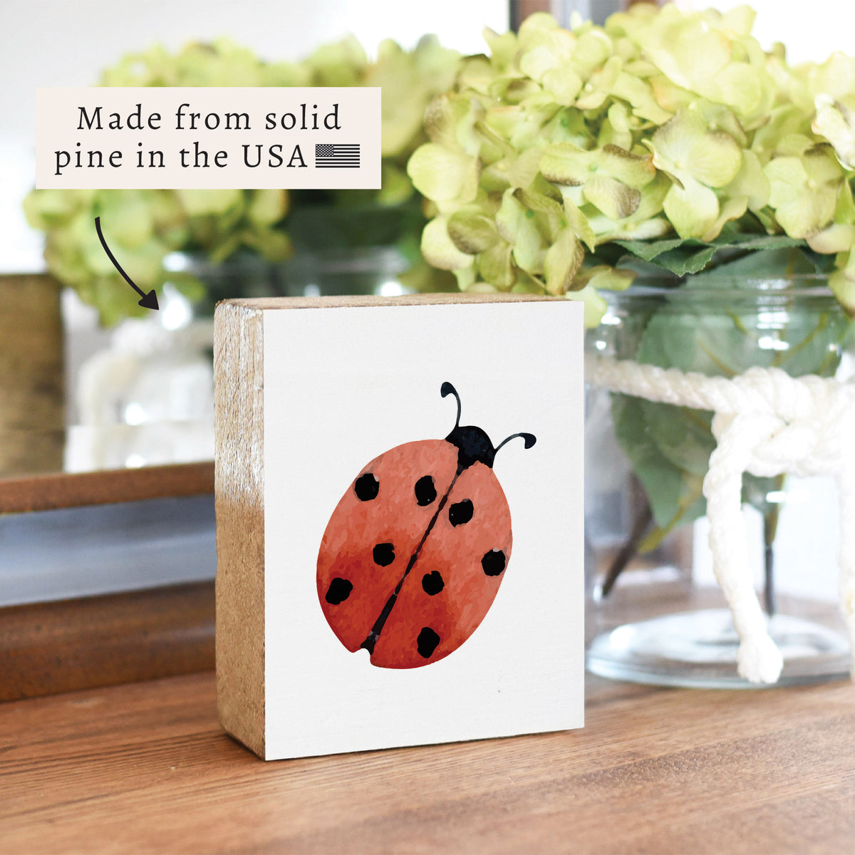 Ladybug Block Sign