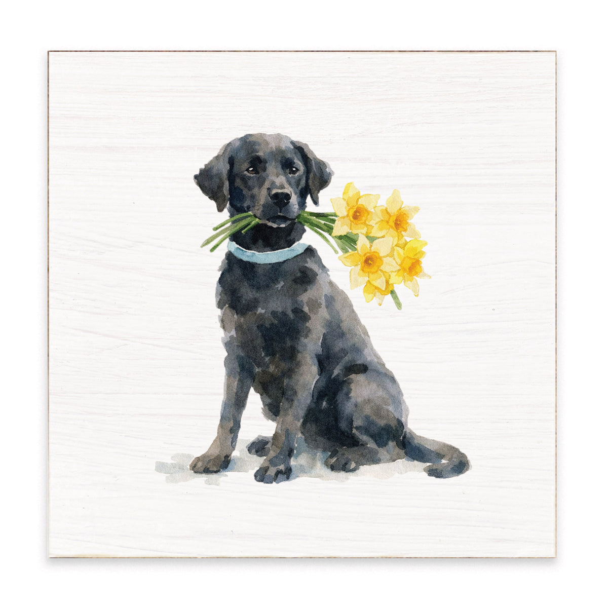 Black Lab Daffodil Block Sign