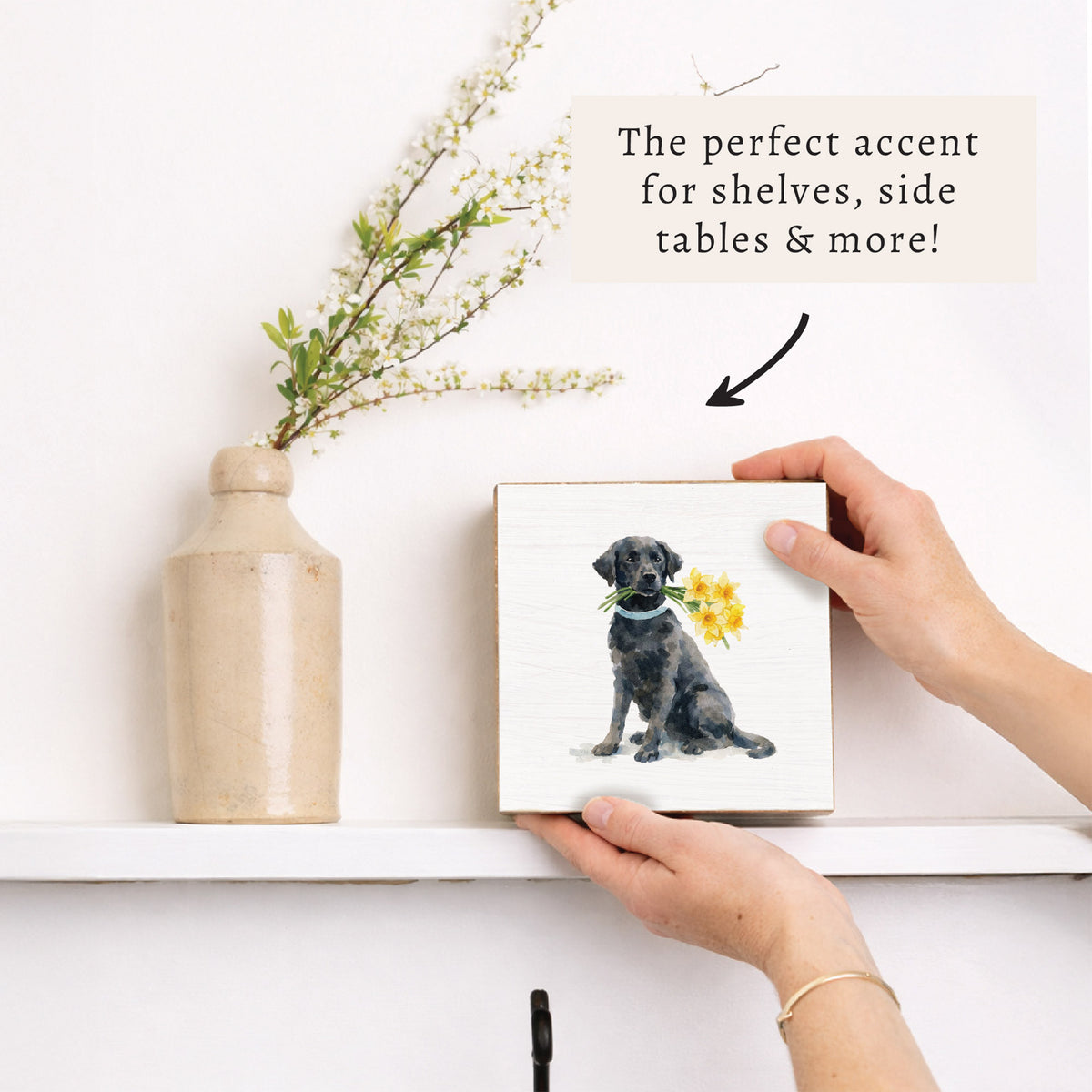 Black Lab Daffodil Block Sign