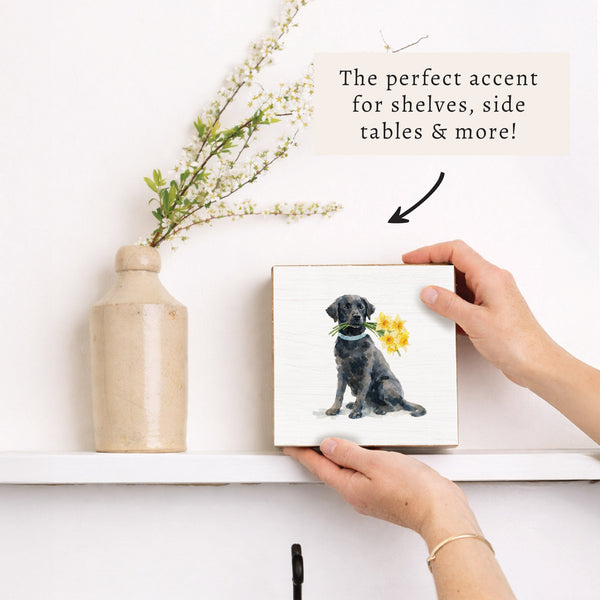 Black Lab Daffodil Block Sign