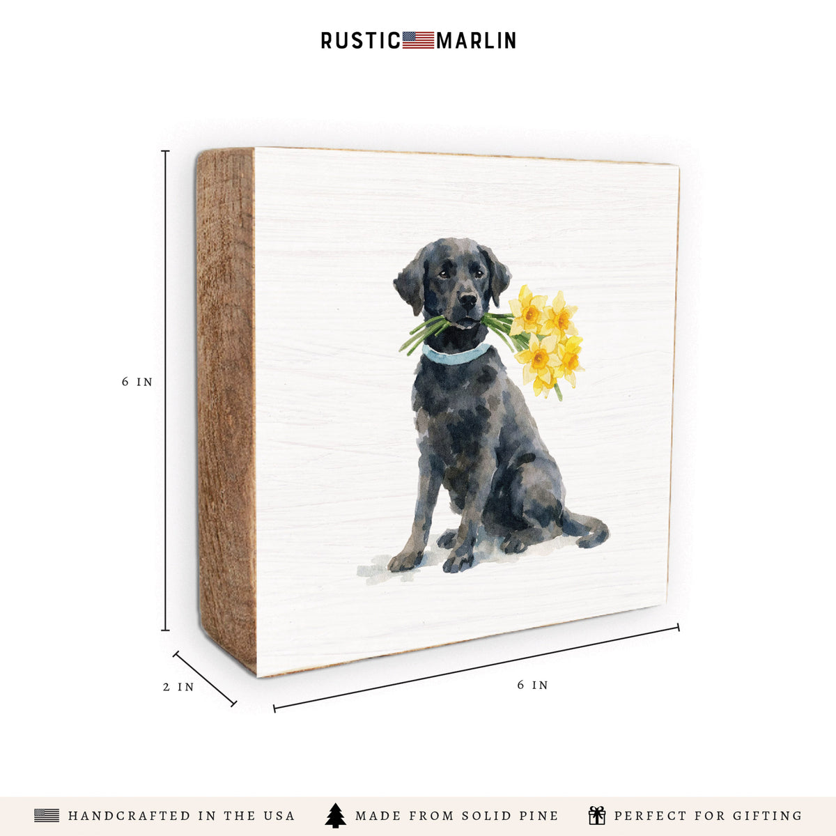 Black Lab Daffodil Block Sign