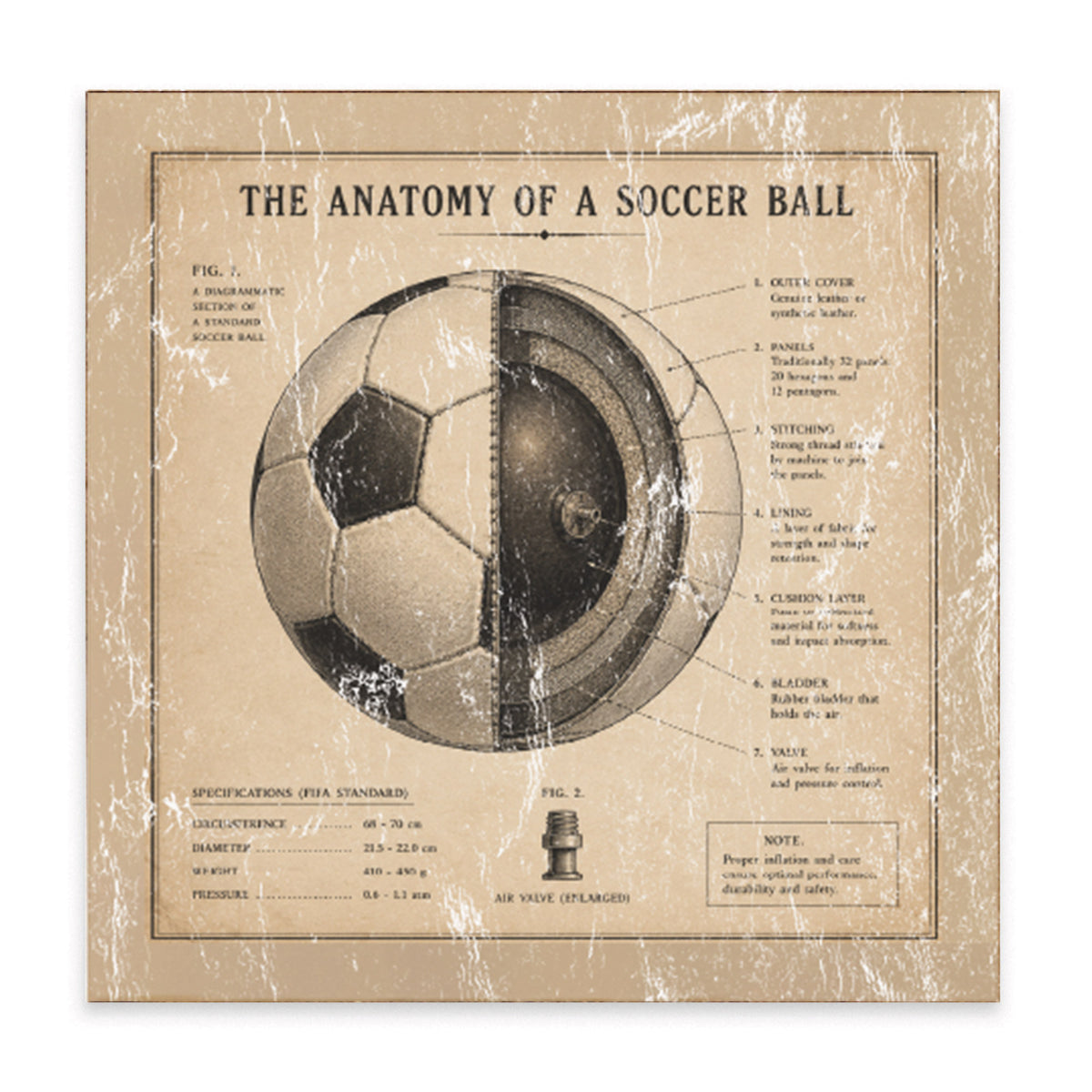 Anatomy Of Soccer Ball Block Sign