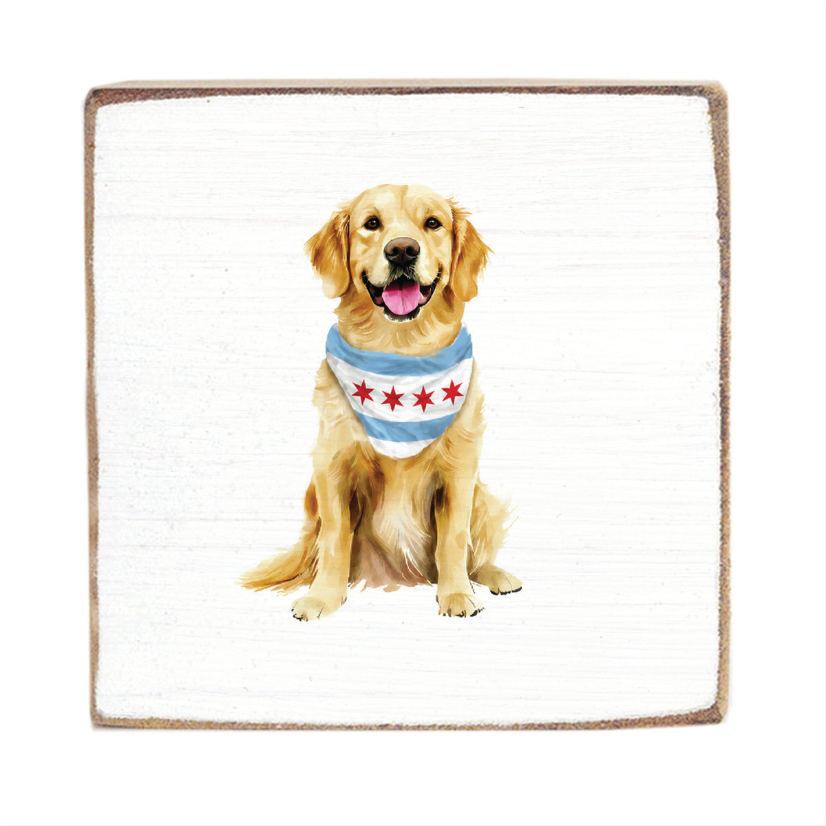 Chicago Flag Dog Block Sign