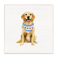Chicago Flag Dog Block Sign