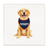 Patriots Football Dog Block Sign
