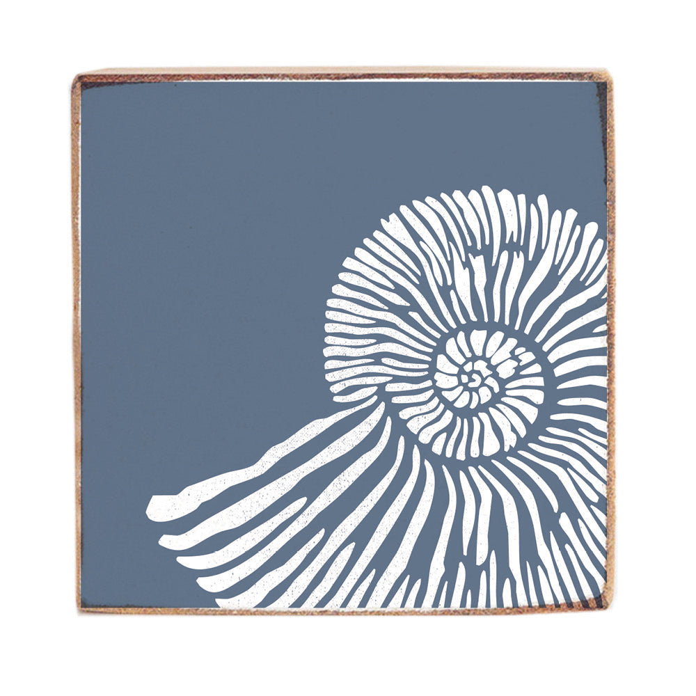 Shell Wood Block