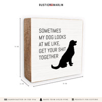 Sometimes My Dog Looks At Me Block Sign