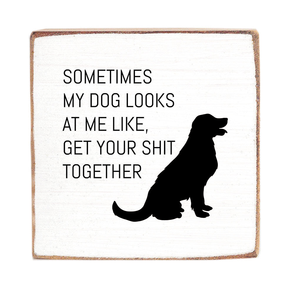 Sometimes My Dog Looks At Me Block Sign