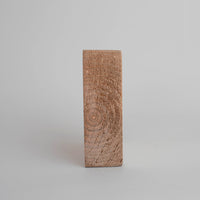 Sand Dollar Snowman Wood Block