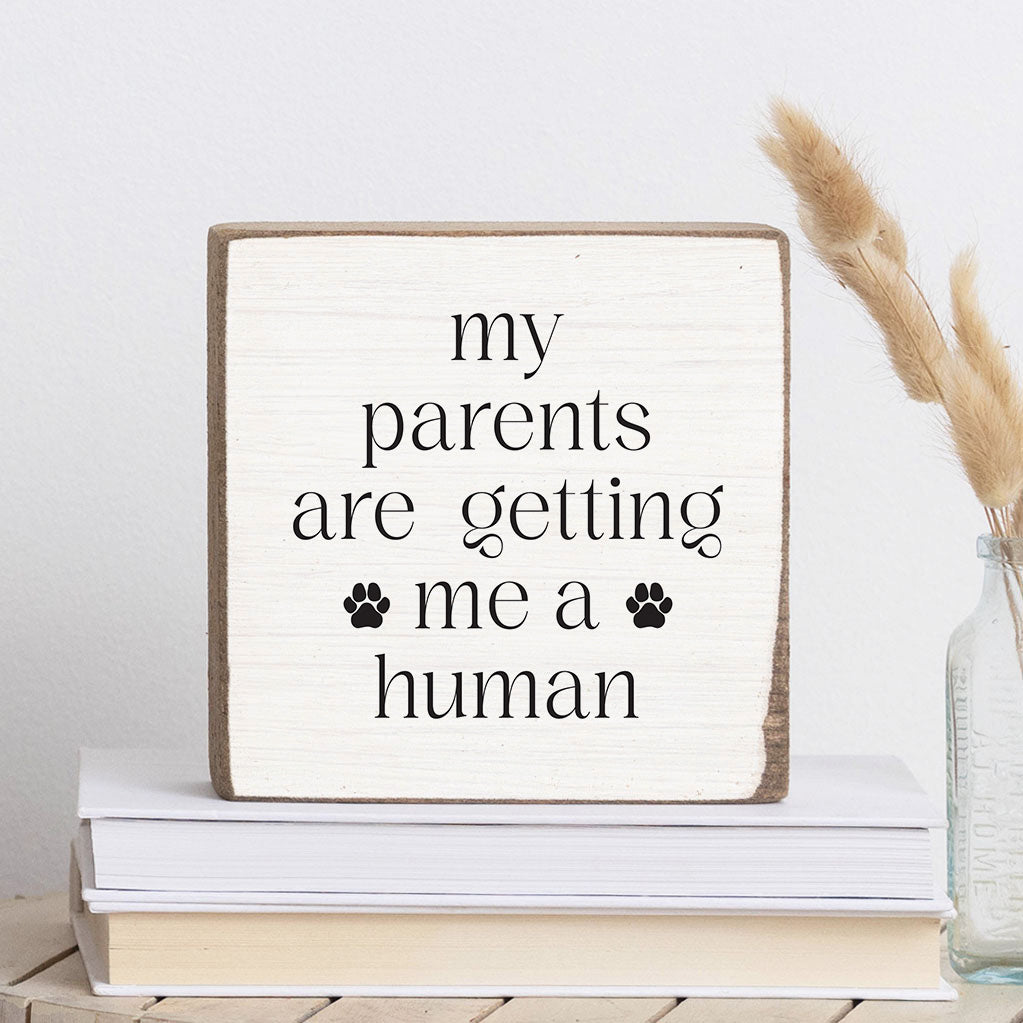 My Parents Are Getting Me A Human Square Block Sign