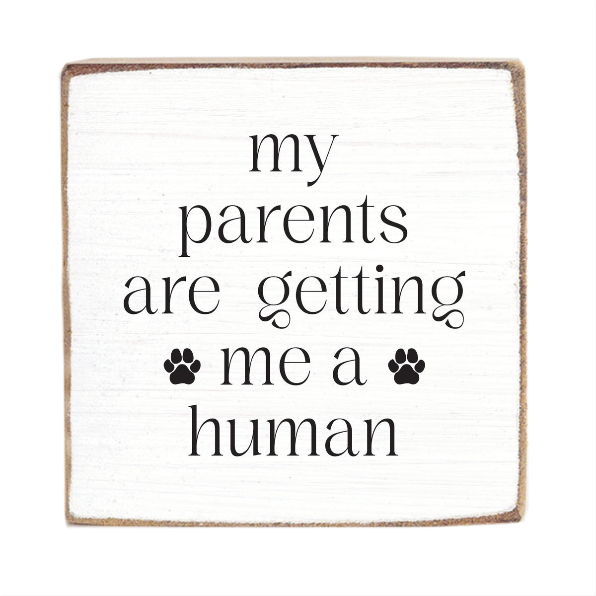 My Parents Are Getting Me A Human Square Block Sign
