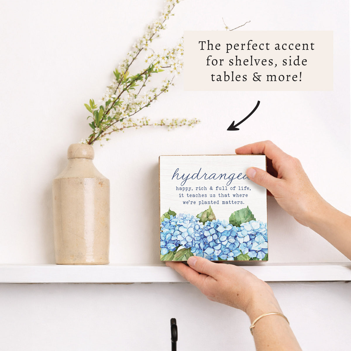 Hydrangea Definition Block Sign