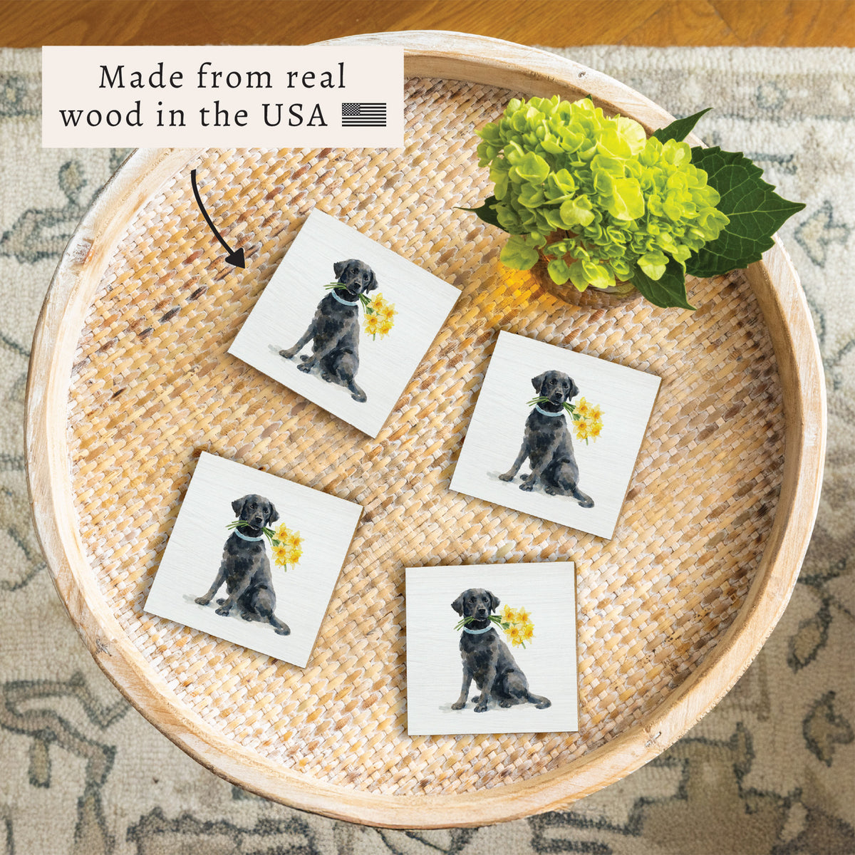 Black Lab Daffodil Coaster Set