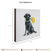 Black Lab Daffodil Coaster Set