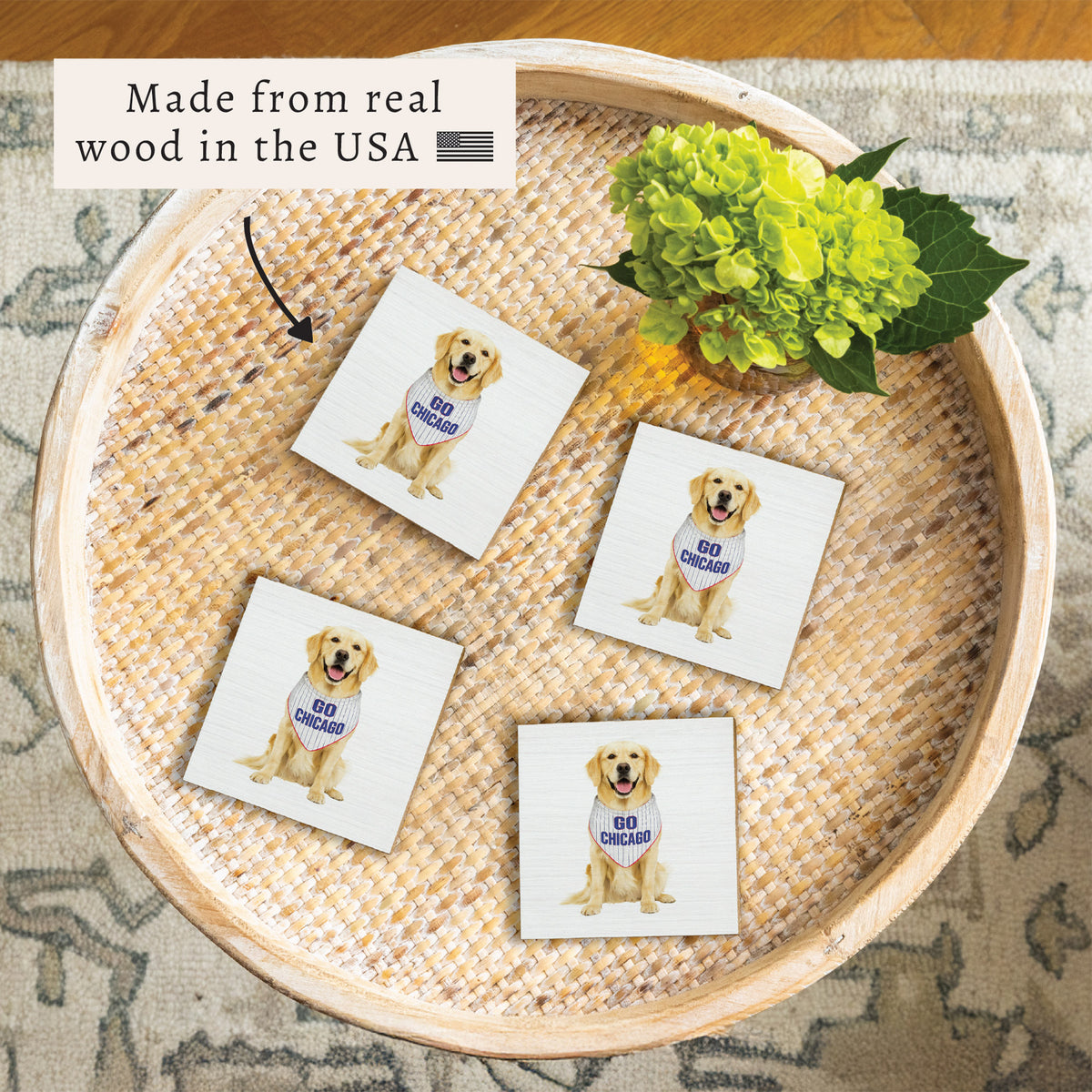 Chi Cubs Dog Coaster