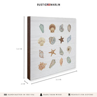 Shell Icons Coaster Set