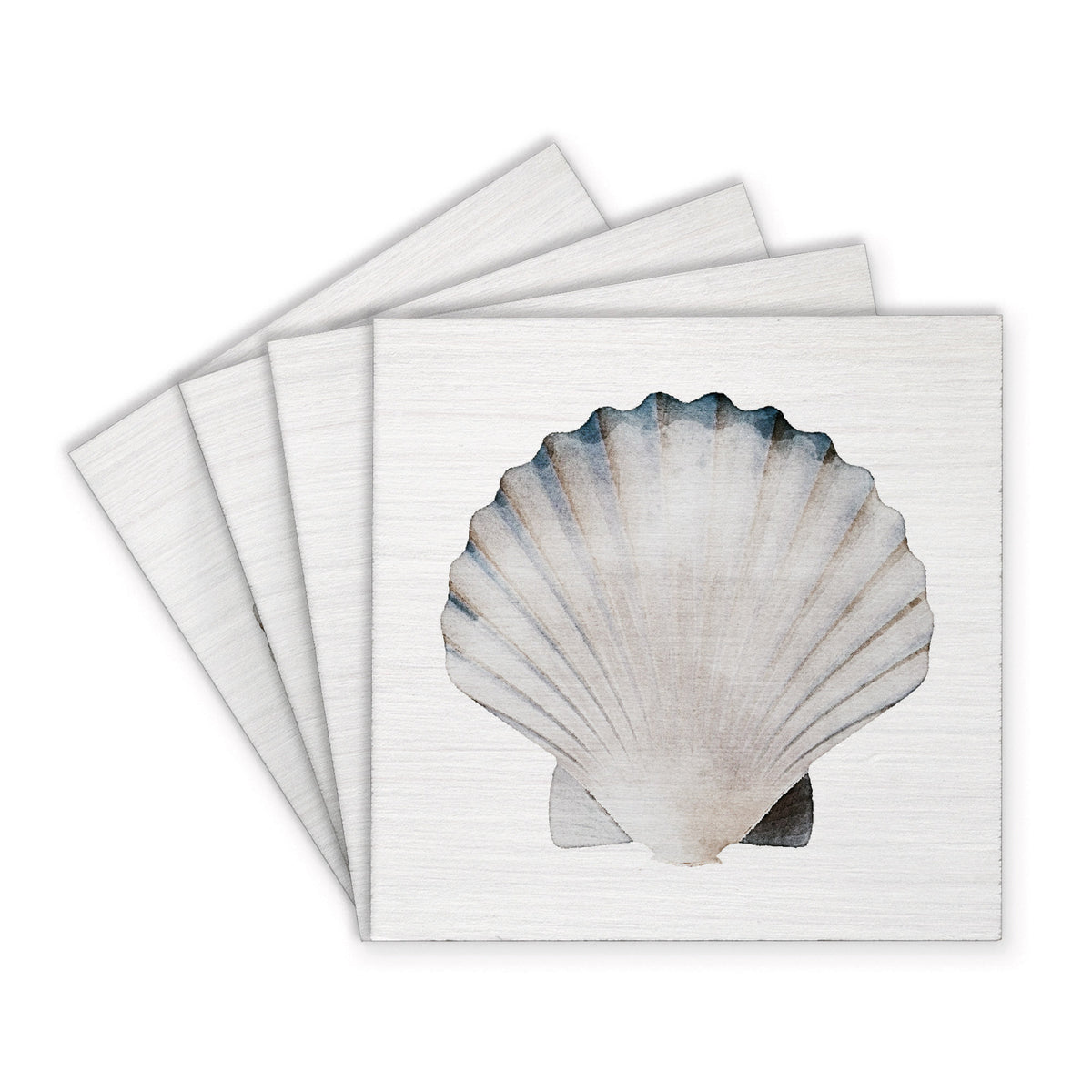 Watercolor Shell Coaster Set