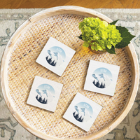 Scenic Mountain Top Personalized Coaster Set