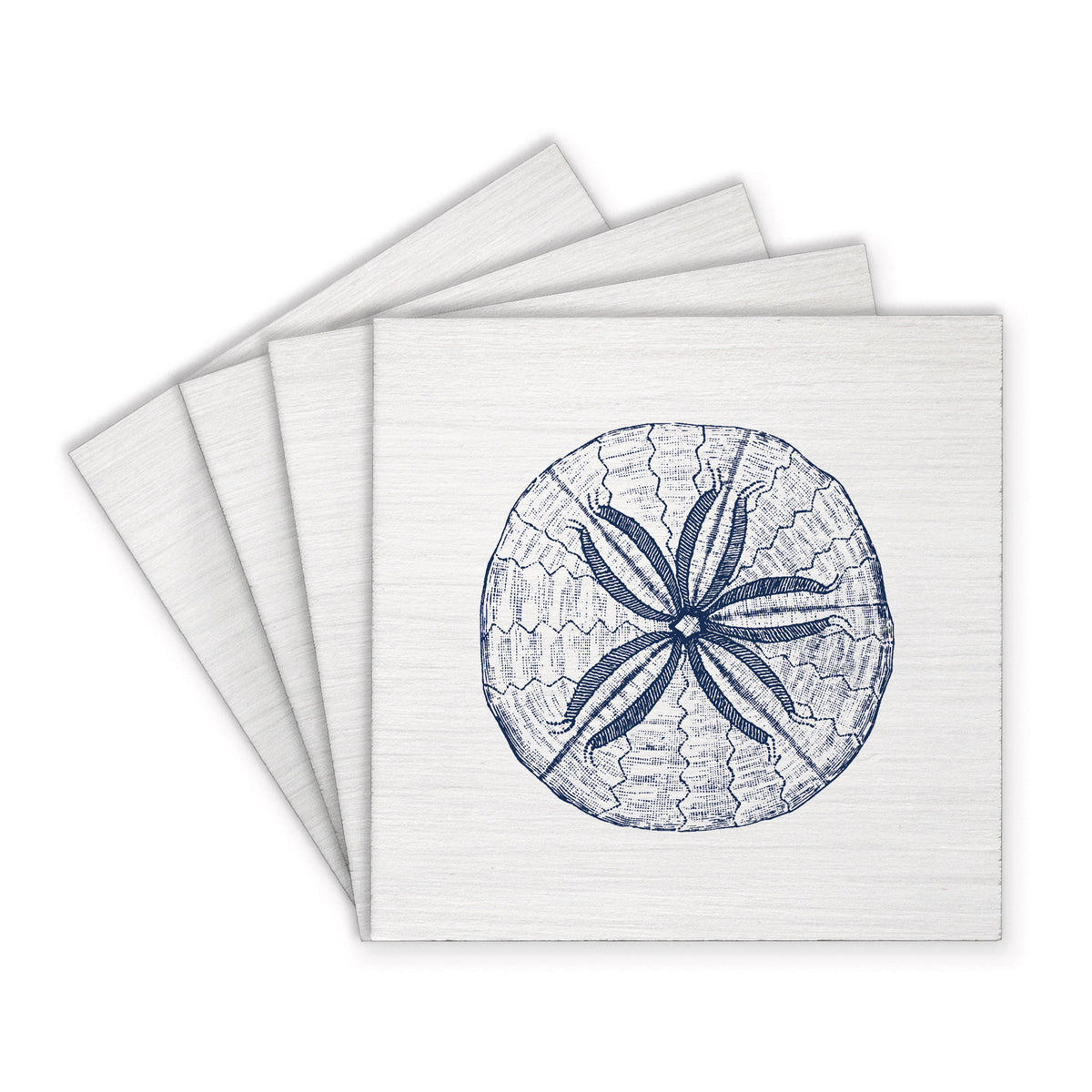 Sand Dollar Sketch Coaster Set