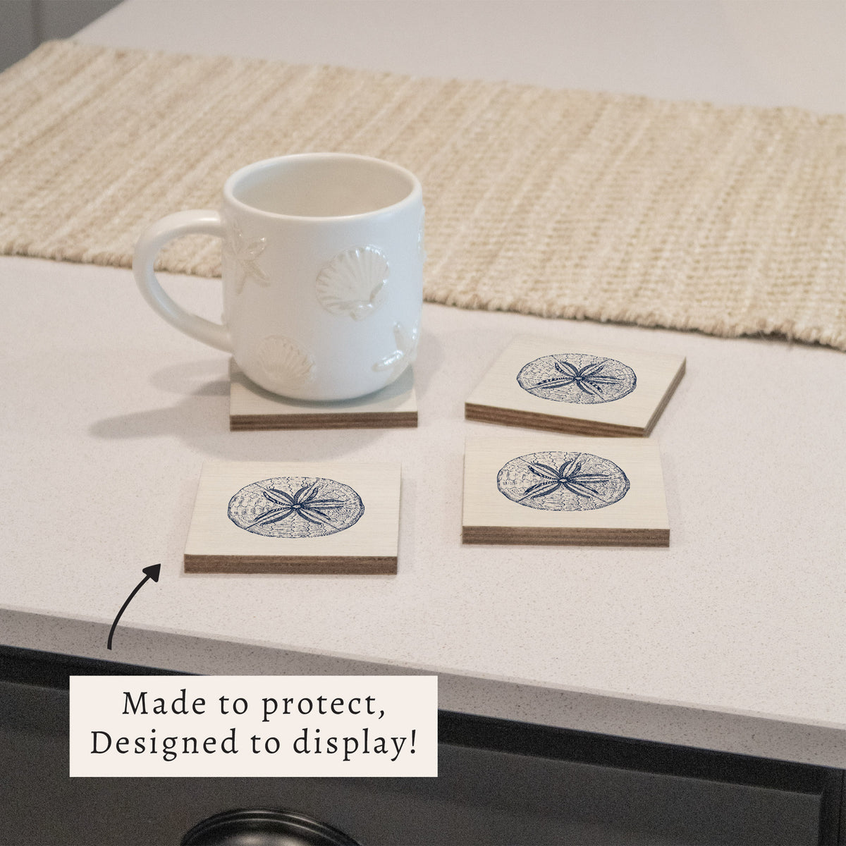 Sand Dollar Sketch Coaster Set