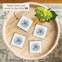 Sand Dollar Sketch Coaster Set