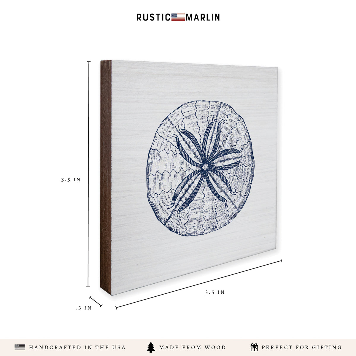 Sand Dollar Sketch Coaster Set