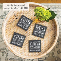 I Speak Fluent Boston Coaster Set