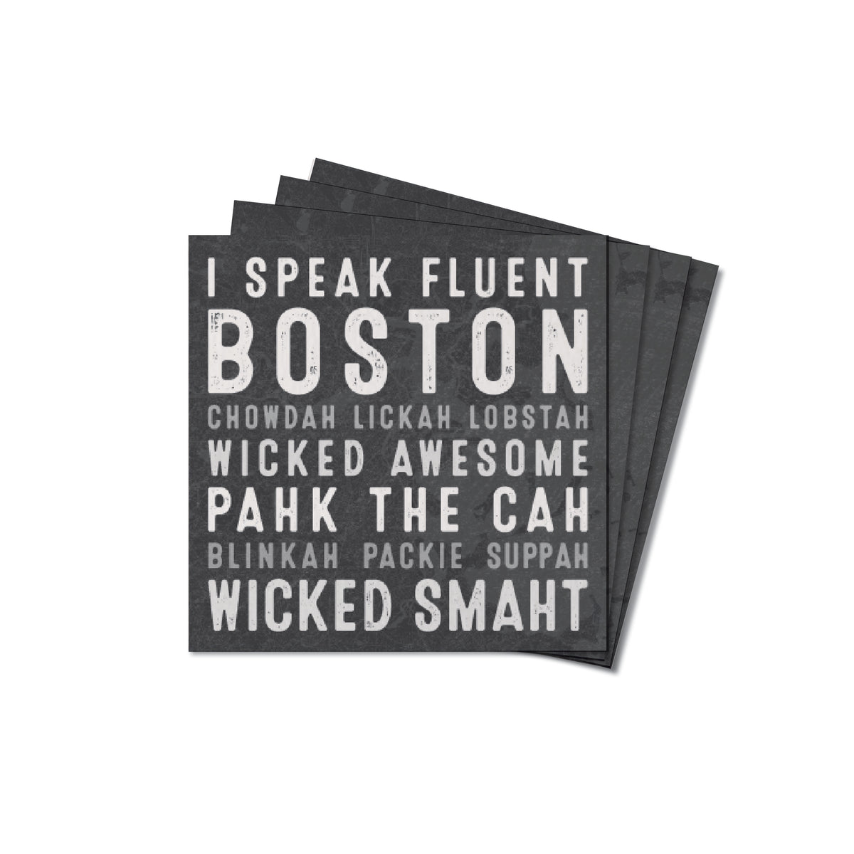 I Speak Fluent Boston Coaster Set