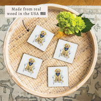 Coastal Dog Coaster Set