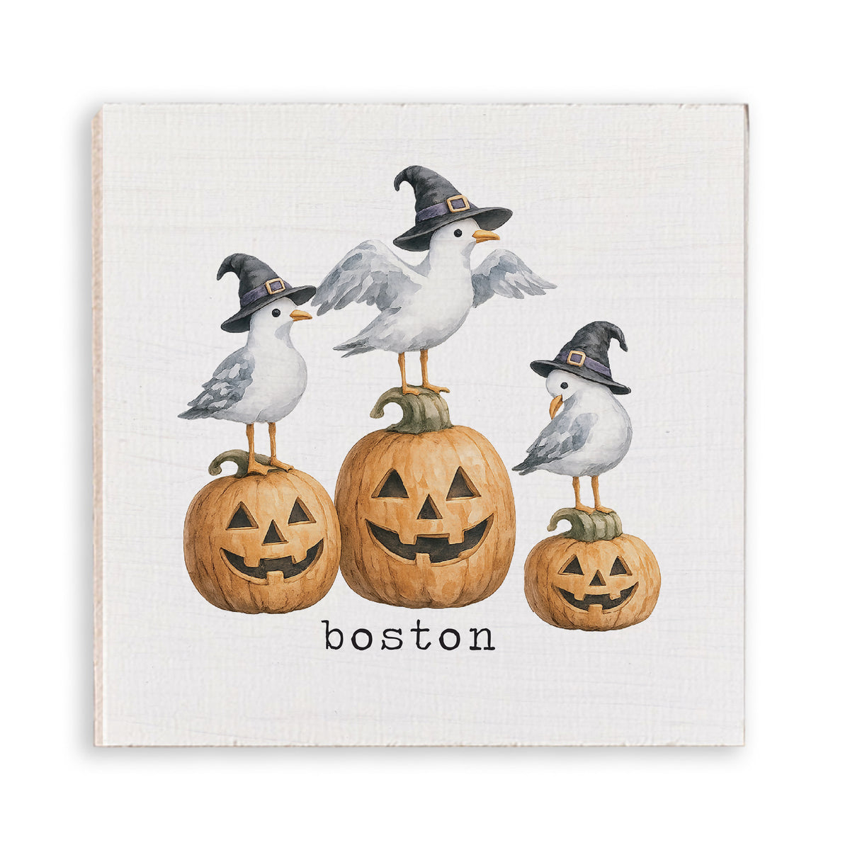 Boston Witch Seagulls Magnet
