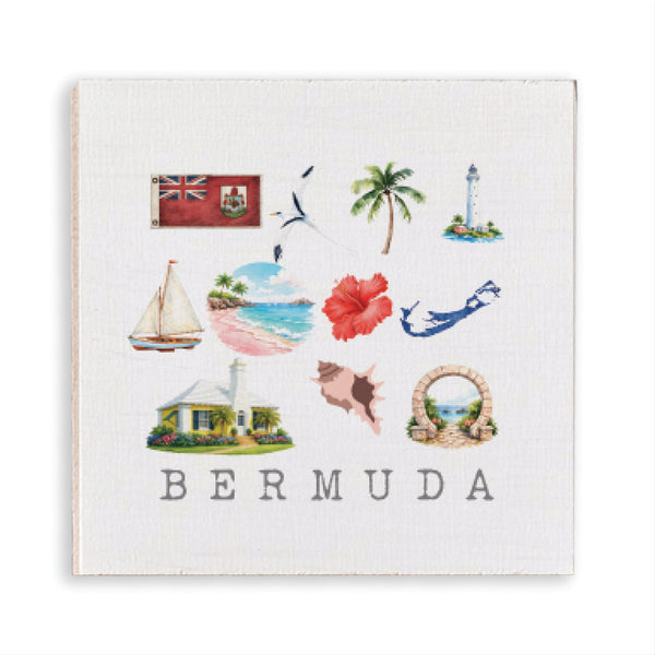 MG1-BRZ.jpg