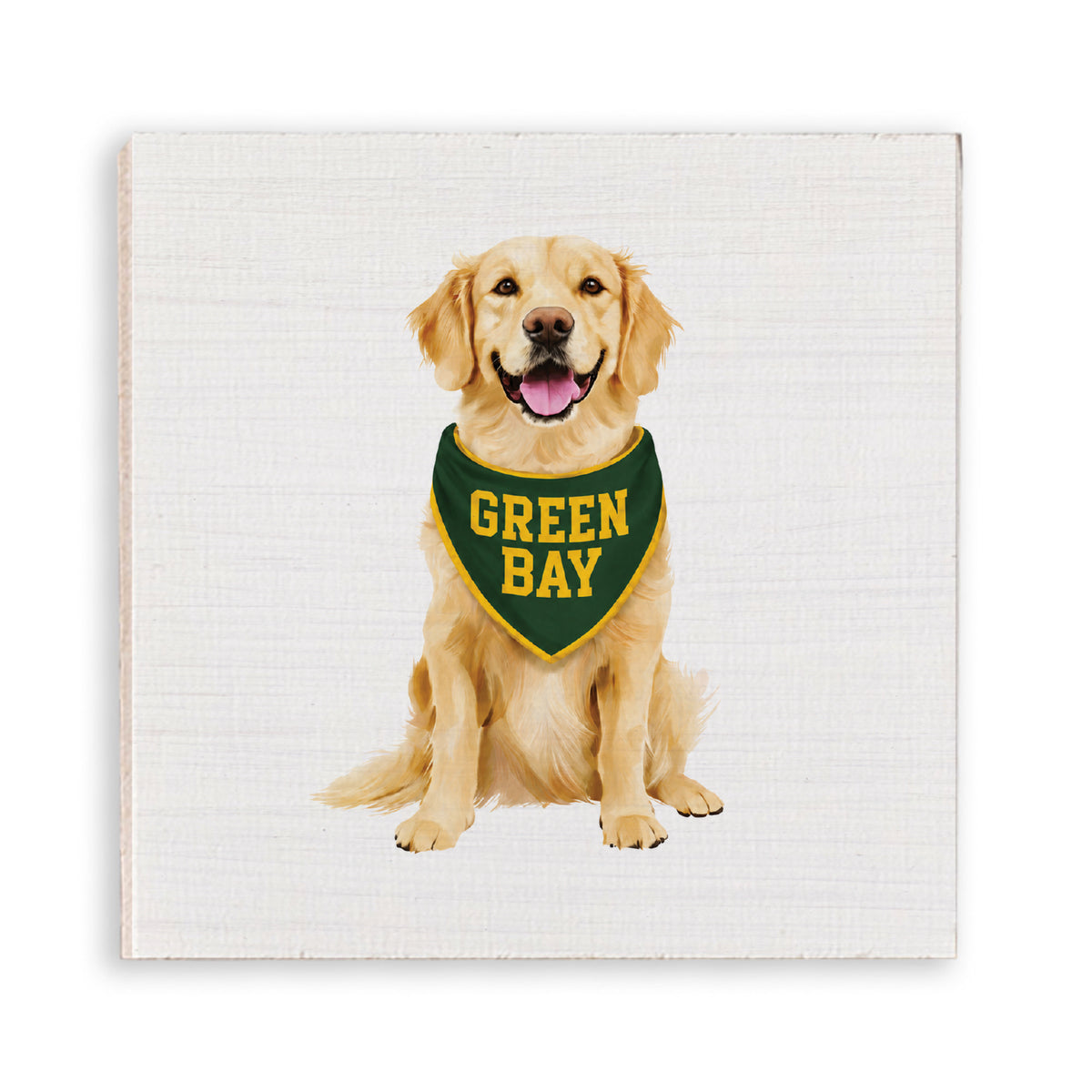 Green Bay Football Dog Magnet