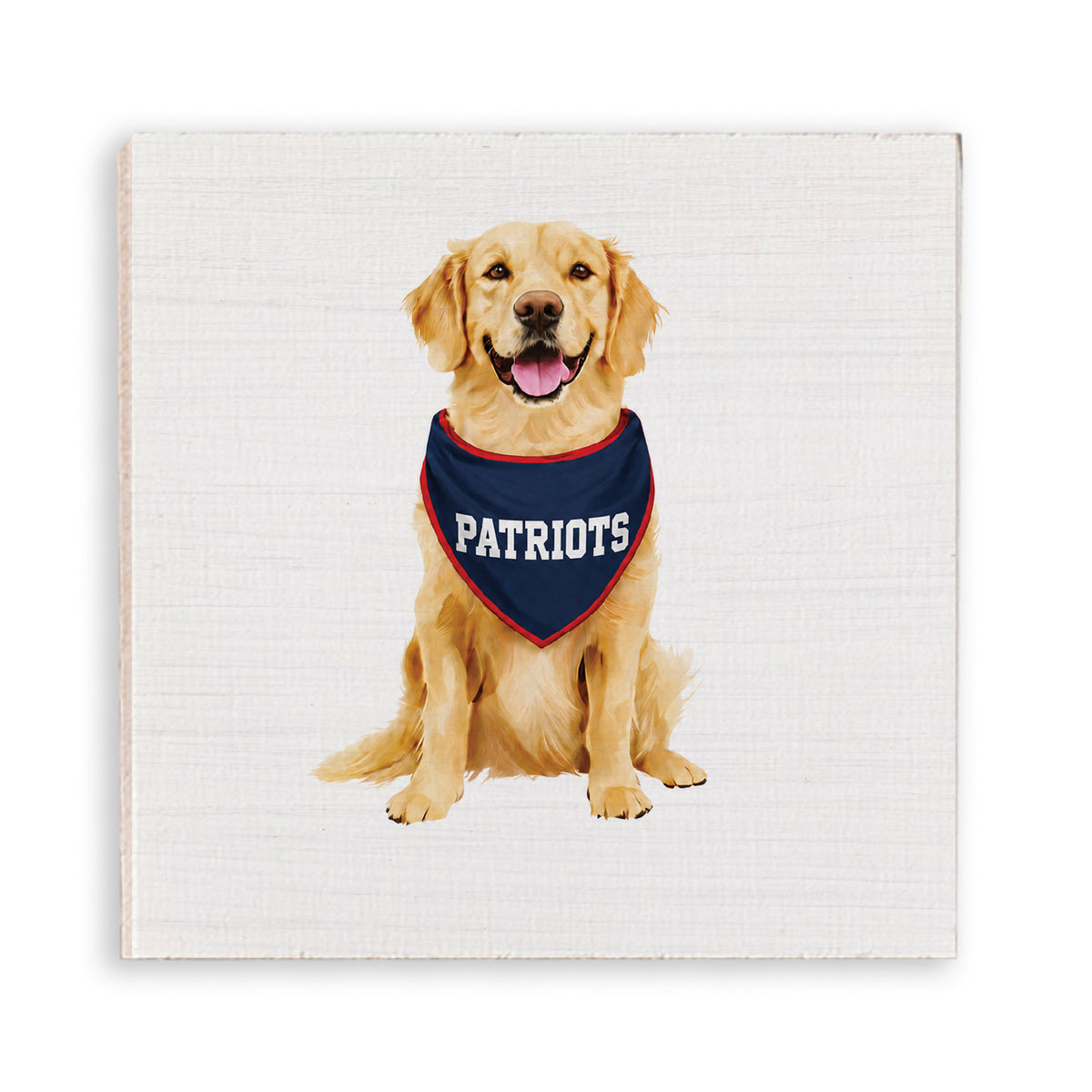 Patriots Football Dog Magnet