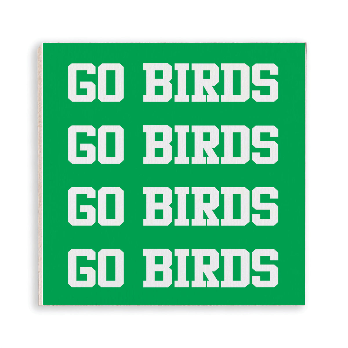Philly Go Birds Magnet