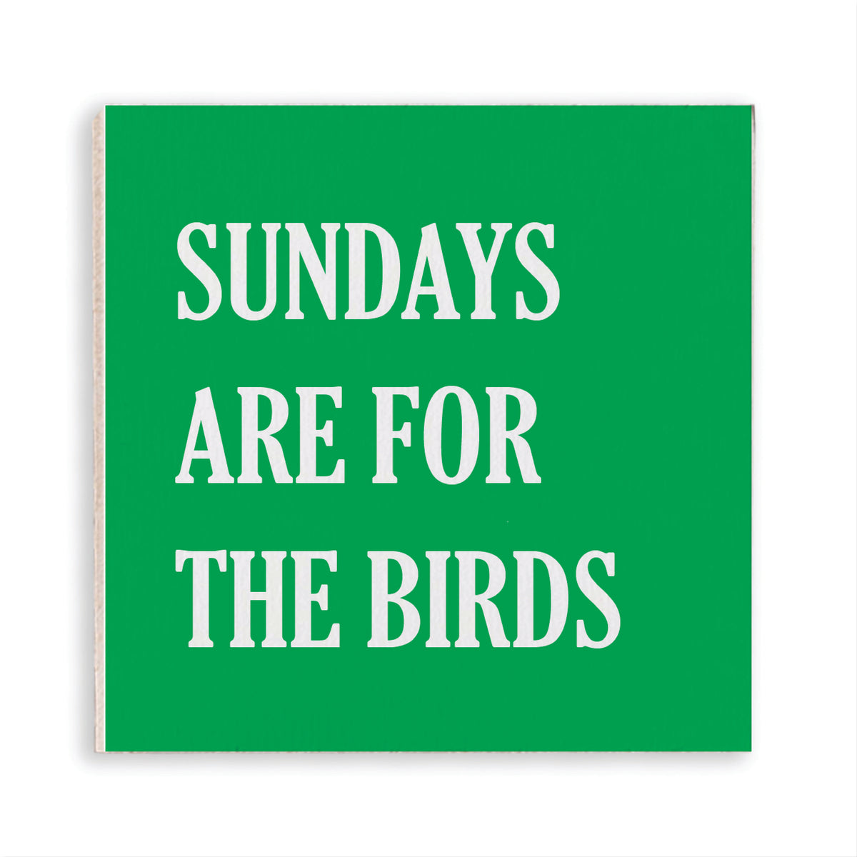 Philly Sundays Are For The Birds Magnet