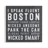 I Speak Fluent Boston Magnet