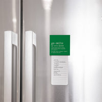 Go Celts Boston Phrase Magnet