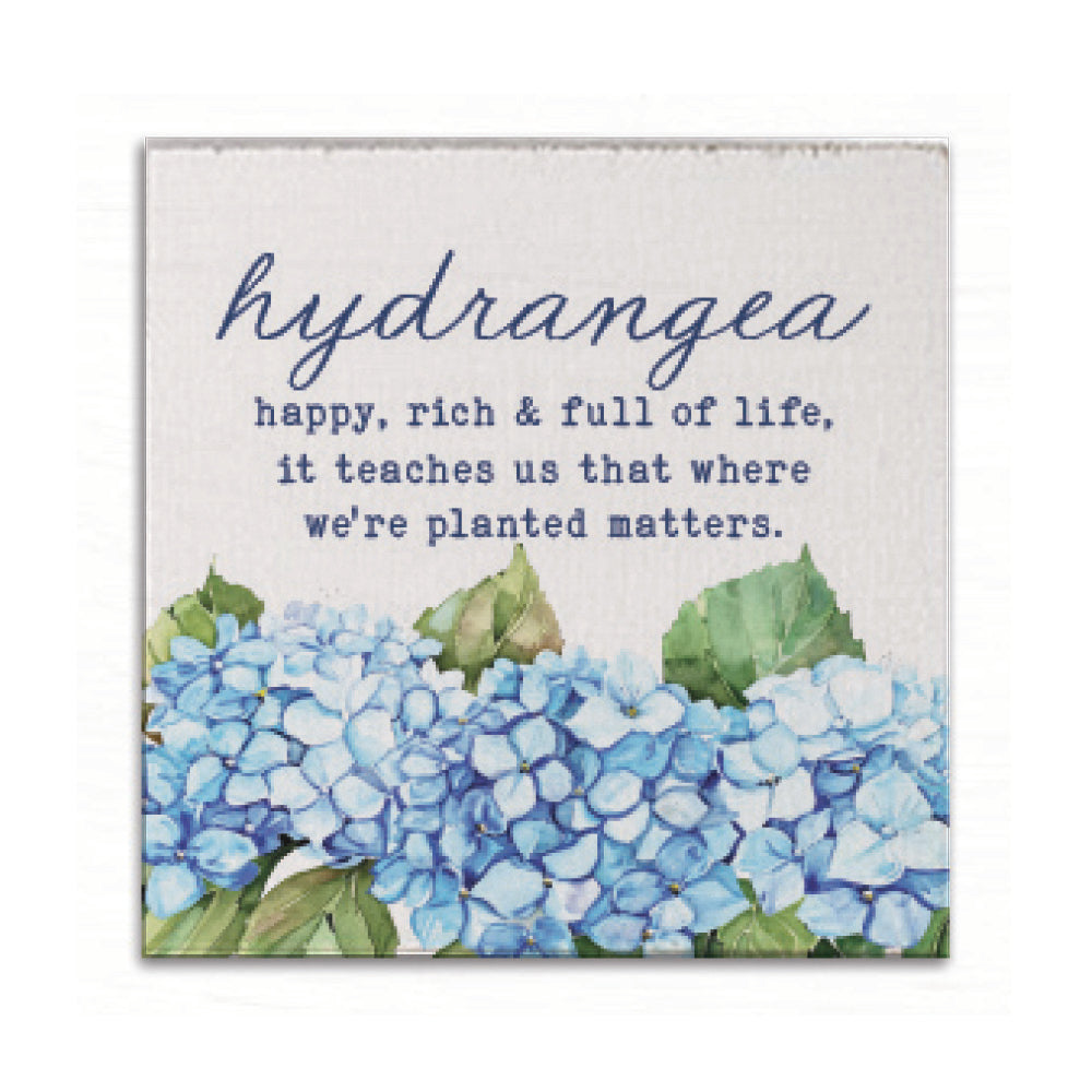 Hydrangea Definition Magnet