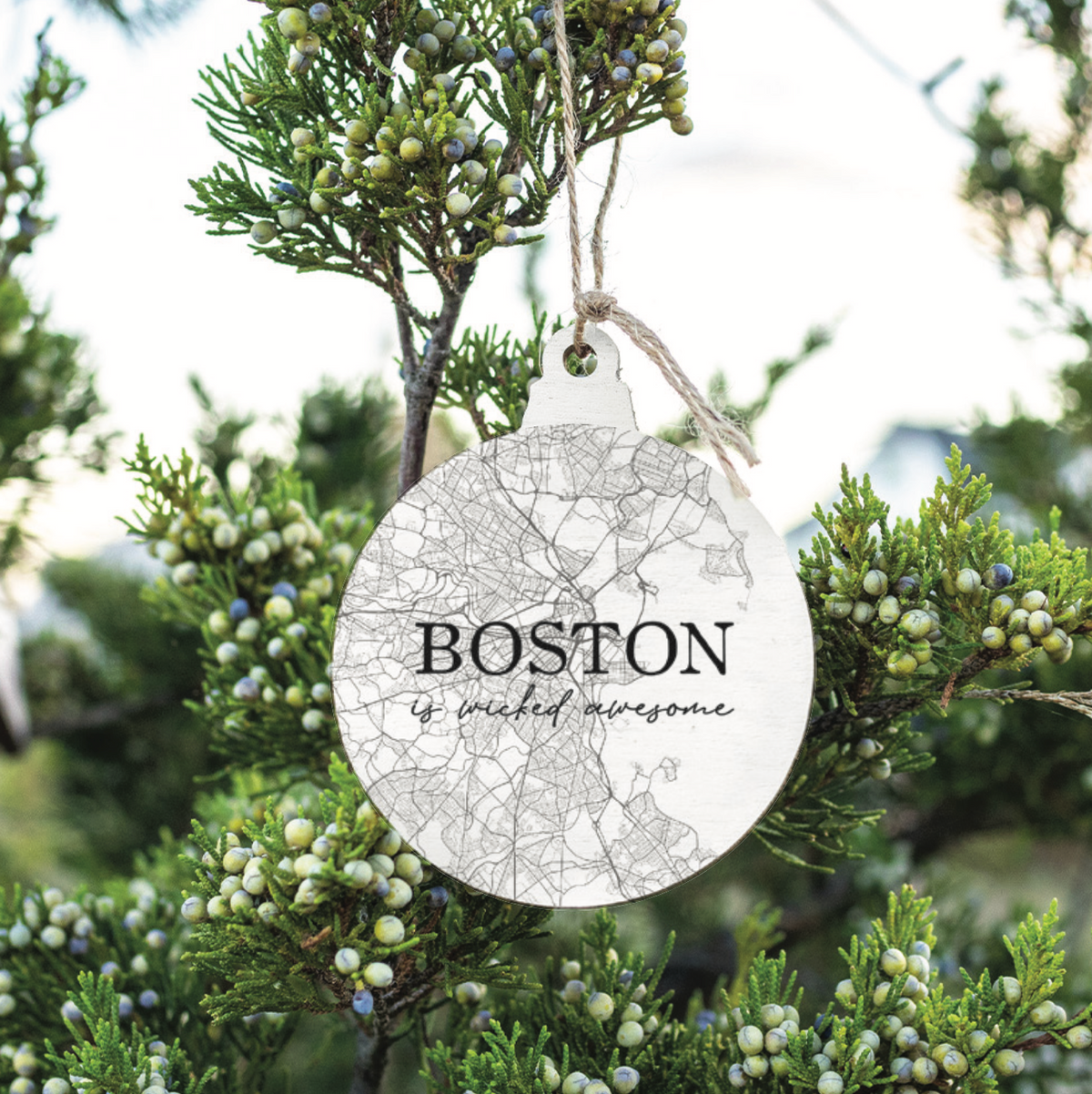 Boston is Wicked Awesome Coordinates Bulb Ornament