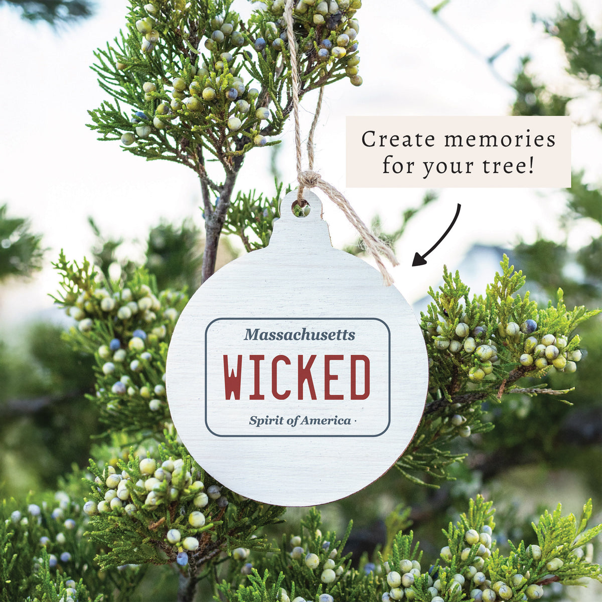Wicked License Plate Ornament