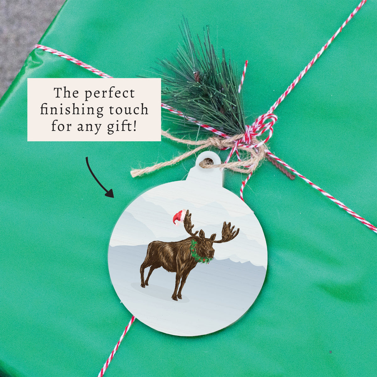 Santa Moose Ornament