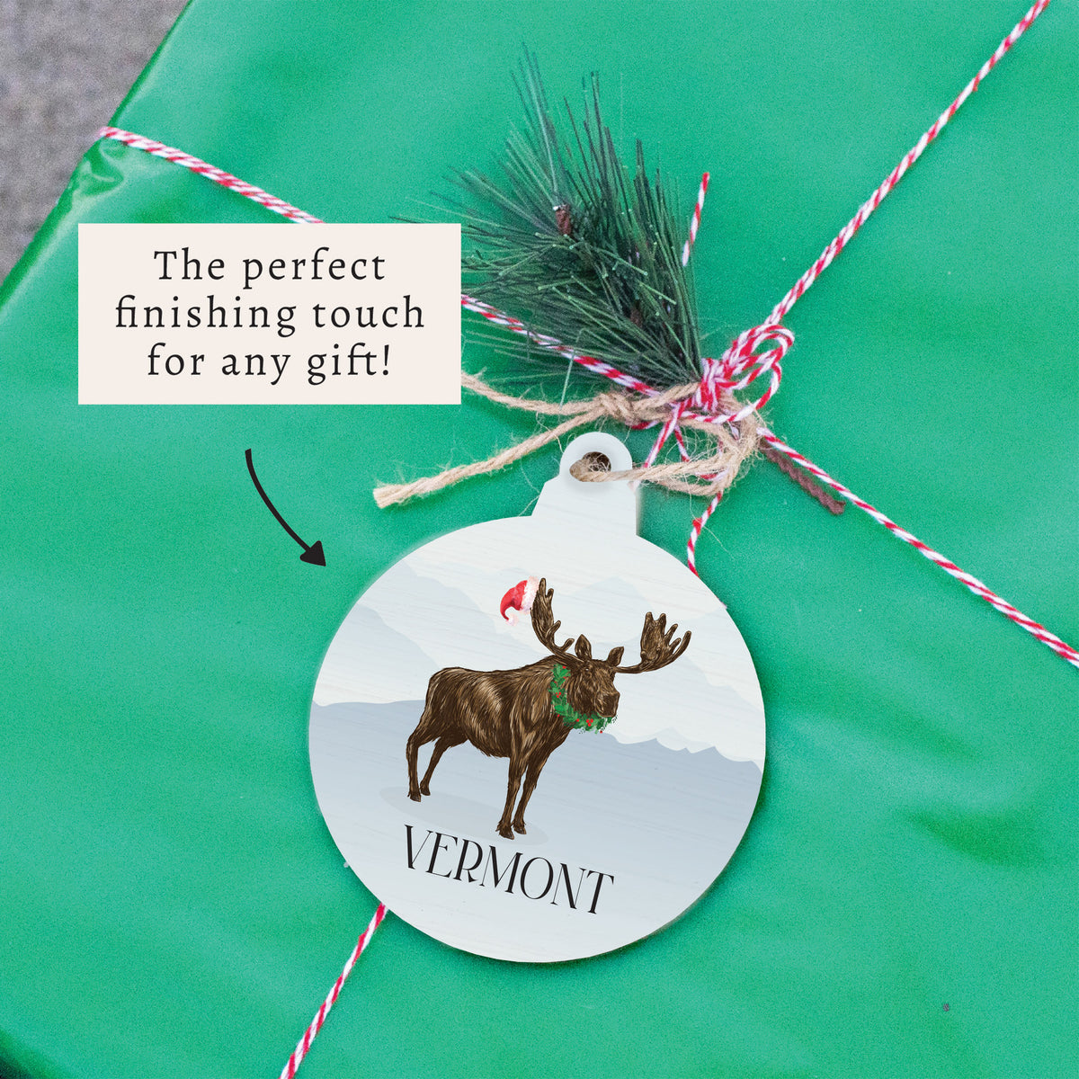 Santa Moose Personalized Ornament