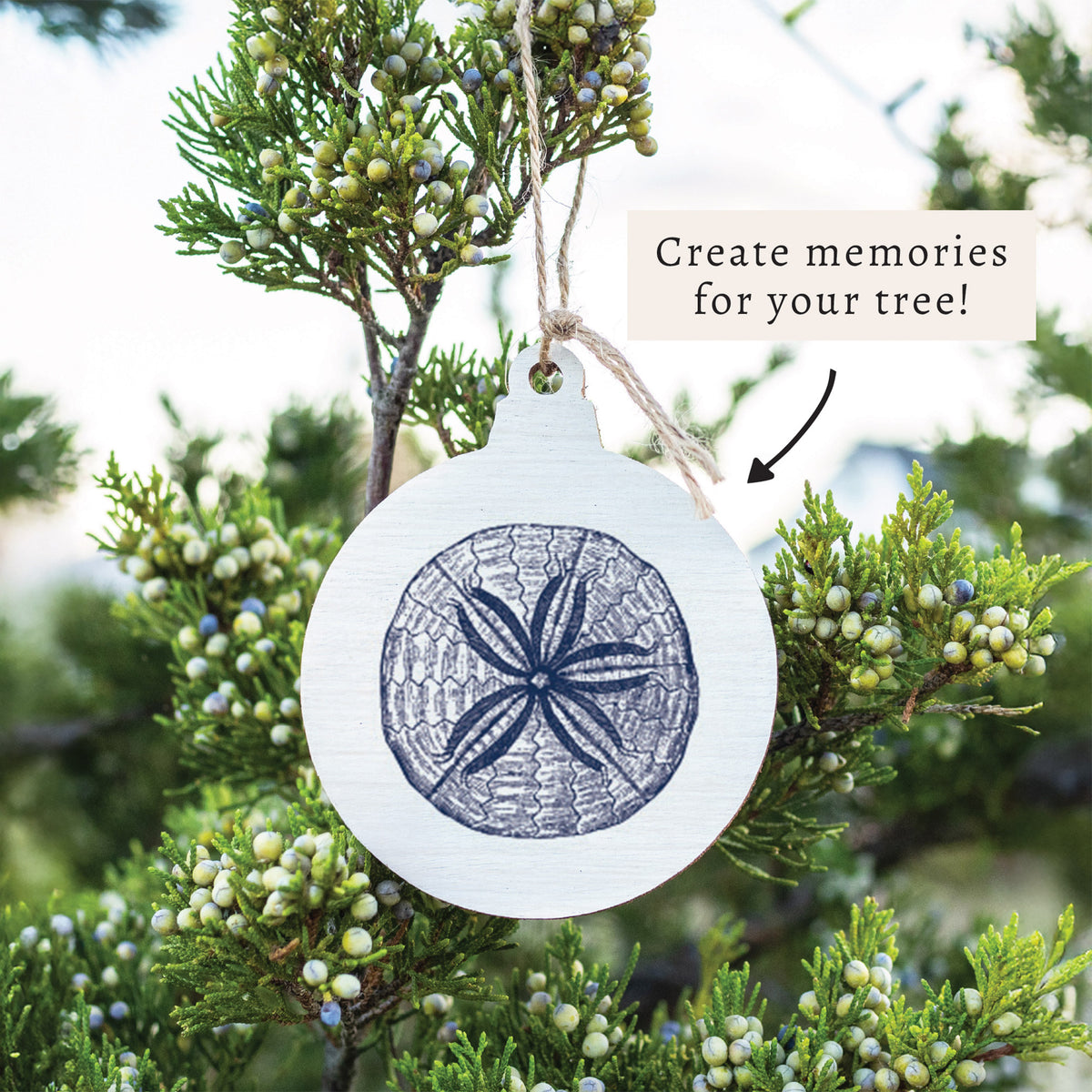 Sand Dollar Sketch Ornament