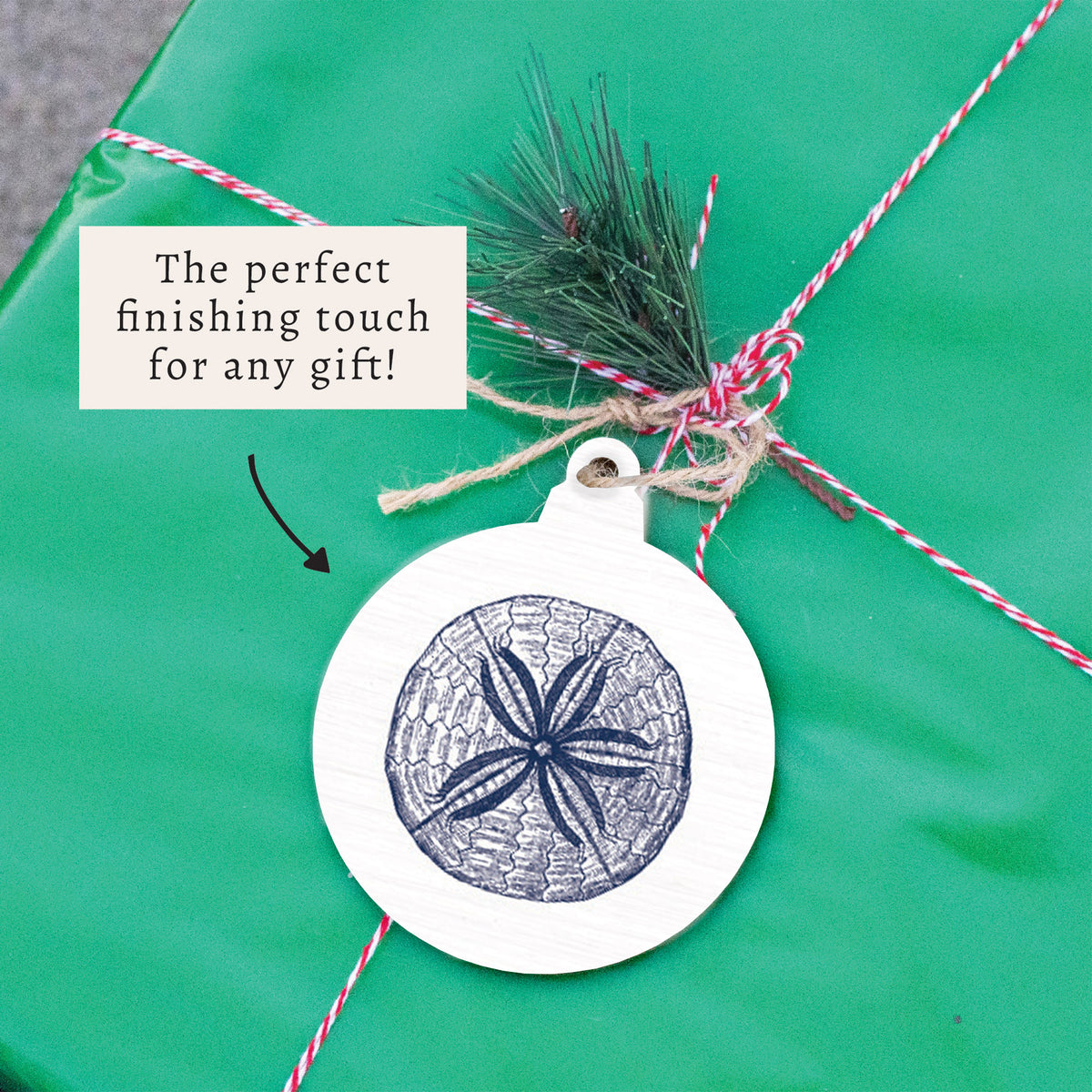 Sand Dollar Sketch Ornament