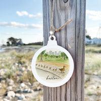 Boston Watercolor Ducklings Ornament