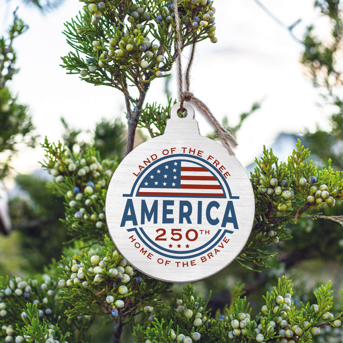 America 250 Land of The Free Ornament
