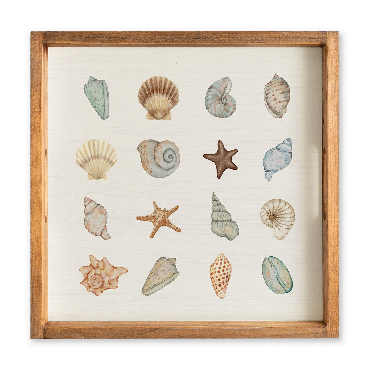 Shell Icons Serving Tray